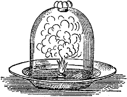 ���� ����� �� �������� ��� ��� ���������