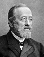 ���� ������ ��������